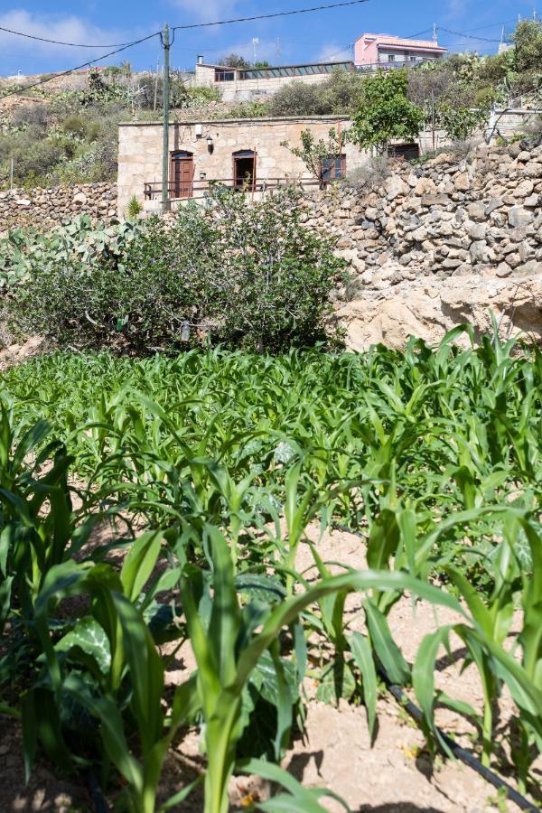 Eco Holidays House Raíces Vila Fasnia Exterior foto